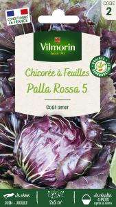 Chicorée à Feuilles Palla Rossa 6